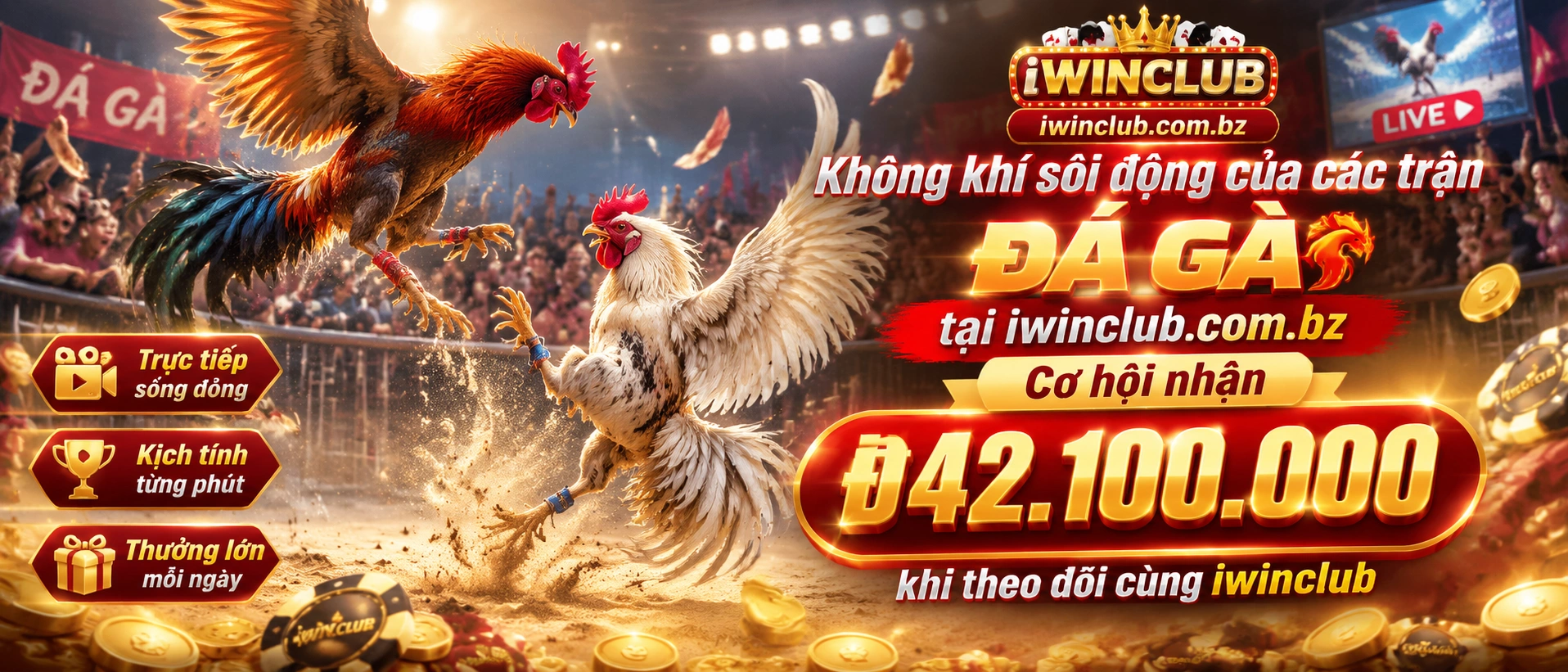Đá Gà trực tiếp trên iwinclub.com.bz